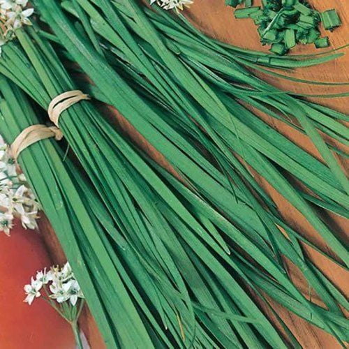 250+Garlic Chives Herb Seeds-Non GMO-Open Pollinated-Organic 