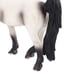 thumbnail image 1 of Modelo de caballo blanco sólido, modelo de caballo de plástico Simulación de juguete Animal salvaje Simulación de caballo Juguetes Regalo exquisito para ni?os Ecomeon no, 1 of 4