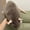 Brown, variant on Giant Rat Plush, Cute Lifelike Rat Plush Pillow, Large Soft Stuffed Animal for Sofa and Bed Decor