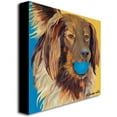 thumbnail image 2 of Trademark Art "Caleigh" Canvas Wall Art by Pat Saunders-White, 2 of 2