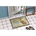 thumbnail image 4 of Brown Pelican Yellow Sky Doormat 18x27, 4 of 4