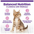 thumbnail image 4 of Wellness® CORE® Kitten Dry Cat Food - Turkey & Chicken, Natural, Grain Free,  5 Lb, 4 of 7