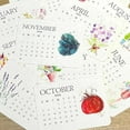 thumbnail image 6 of Eco-Friendly Plantable Love Seed Calendar 2026,Seed Calendar Plantable,Month Biodegradable Seed Paper Planner With Wildflower, Herb & Fruit Seeds For Garden & Decor, 6 of 7