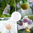 thumbnail image 2 of Uxcell 100 Pack Fruit Protection Bags - 6x8 Inch Fruit Netting Bags with Drawstring Apply to Plants(White), 2 of 7