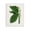 Vintage Botanical Leaf Study_v1, variant on Stupell Industries Cottage Canvas Art, 16 x 20, by Tina Higgins Designs Inc.