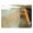 Orange, variant on Goodwrappers Stretch Wrap,Cast,Standard Duty 15A887