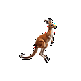 thumbnail image 6 of cartoon Kangaroo Theme Stickers, Waterproof Kangaroo Theme Sticker for Water Bottle Laptop Phone Cases Planner Skateboard Luggage Helmet Party Favor Decor, Ideal for Adults Teens Teacher Rewards, 6 of 9
