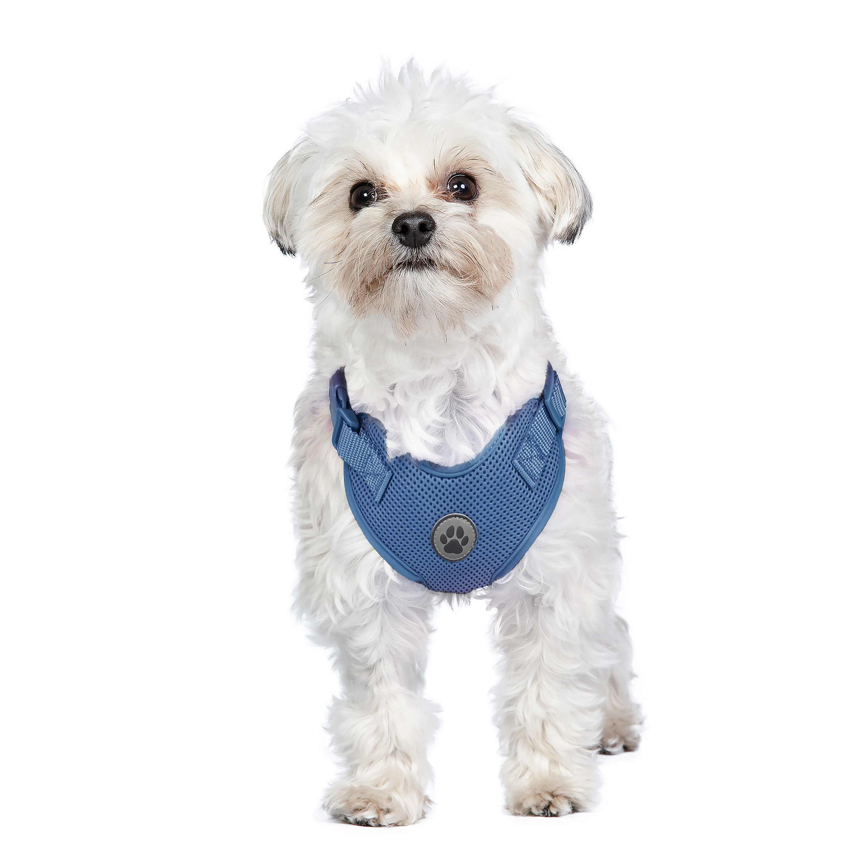 Vibrant Life Polyester Mesh Adjustable and Reflective Dog Walking Harness, Blue, XS