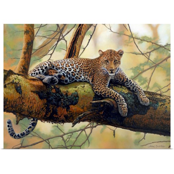 Great BIG Canvas | Rolled John Zaccheo Poster Print entitled African Leopard