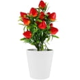 thumbnail image 1 of 1 Set Faux Strawberry Artificial Strawberry Picks Fake Strawberry with Pot, 1 of 10