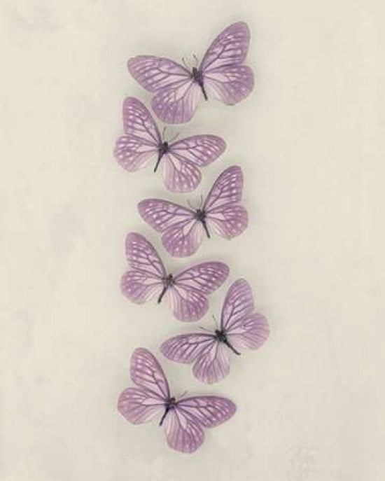 Lilac Butterflies C
