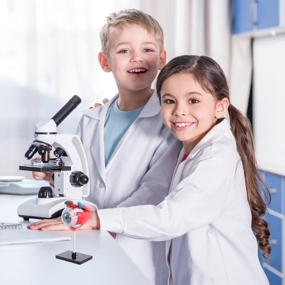 ETHZZLE Human Anatomy Puzzle Model, Plastic 1 Set in Assorted Colors, Ideal for Science Lessons and Educational Use