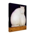 thumbnail image 4 of Trademark Fine Art 'Fat Cat' Canvas Art by Daniel Patrick Kessler, 4 of 5