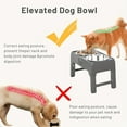 thumbnail image 4 of Elevated Dog Bowls, Elevated Pet Feeder Stand With Slow Feeder Bowls, 4 Height Adjustable Non-slip Raised Dog & Cat Feeder Bowls, 4 of 7