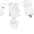 thumbnail image 1 of Caja de Dientes de bebé Collares de Ahorro de Dientes de Leche Caja de Almacenamiento de Dientes de Leche de Plástico de 5 Piezas con Collares de Ahorro de Dientes de Cuerda ANGGREK Otros, 1 of 8