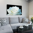 thumbnail image 4 of Kurt Shaffer 'White Rose II' Canvas Art, 4 of 4