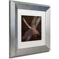 thumbnail image 2 of Trademark Fine Art "Dragonfly" Canvas Art by Color Bakery White Matte, Silver Frame, 2 of 4