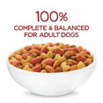 thumbnail image 3 of Purina Beneful Dry Dog Food for Adult Dogs Originals, Farm Raised Real Beef, 40 lb Bag, 3 of 12