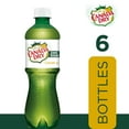Canada Dry Zero Sugar Ginger Ale Soda Pop, 16.9 fl oz, 6 Pack Bottles