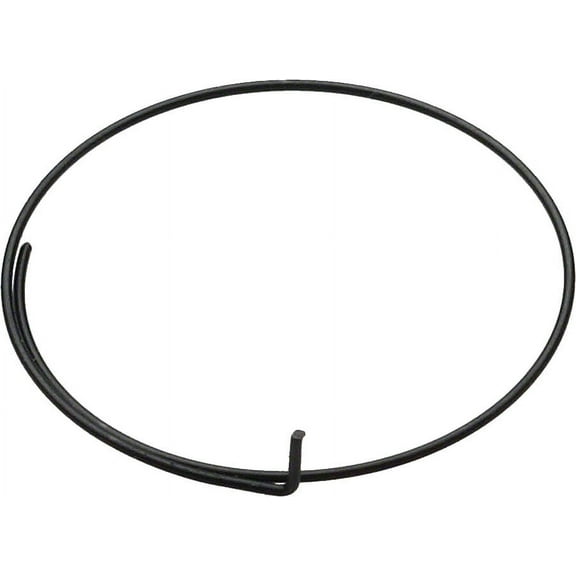 Campagnolo/ Fulcrum Freehub Body Pawl Spring, Sold as Each