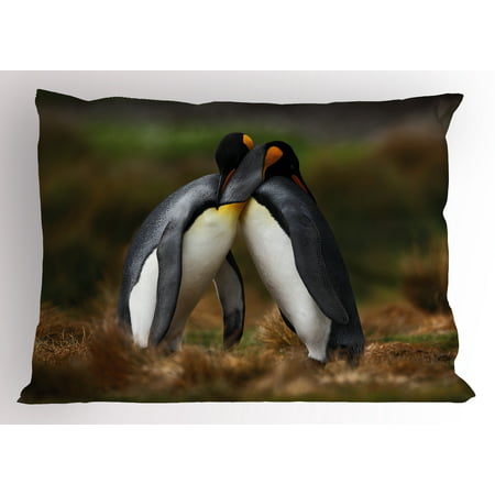 Animal Pillow Sham Penguin Couple Cuddling in Wild Nature Love Affection Romance Falkland Islands Fauna, Decorative Standard King Size Printed Pillowcase, 36 X 20 Inches, Multicolor, by
