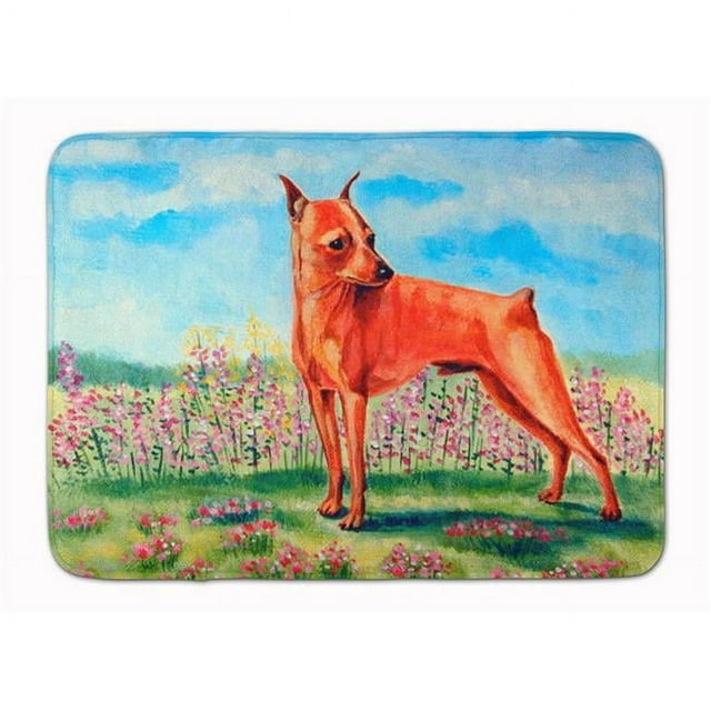 Carolines Treasures 7516RUG Tapis de Mousse à Mémoire Lavable en Machine