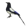 thumbnail image 1 of Urraca pájaro de simulación adorno de jardín artesanías realistas estatua de pájaro Artificial para fotografía utilería jardín patio arte césped 21cm, 1 of 8