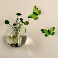 thumbnail image 4 of Florero de cristal para colgar en la pared, terrario hidropónico, peceras, planta en maceta, maceta, 4 of 5