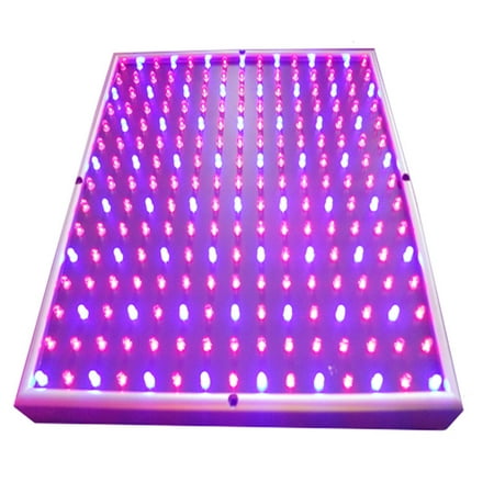 Intbuying 225PCS LED Red Blue LED Grow Light Indoor Plant 15W Best Sale