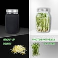 thumbnail image 2 of 4PCS Glass Sprouting Jars Kit Seed Starter Seed Sprouting Jar Kit with 1 Wide Mouth Mason Jars(1000ML), 2 of 9