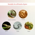 thumbnail image 3 of WEAVILUX 4 Pcs Thermomètre Compact et Hygromètre pour Reptiles Animaux Noir, 3 of 7