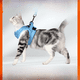 thumbnail image 2 of Suministros para mascotas Cuerda de tracción para gatos Chaleco anticaídas Cuerda de esponja para caminar Chaleco para gatos, 2 of 6