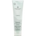 thumbnail image 1 of Champú Paul Mitchell Awapuhi Wild Ginger Repair Nutrishing, 1 of 7