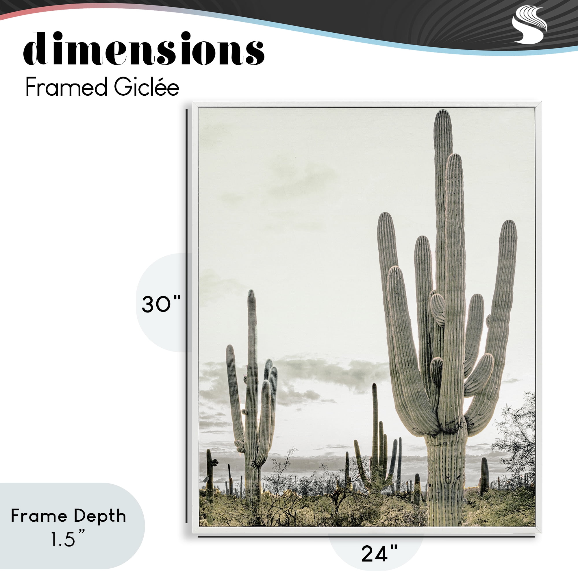 Stupell Industries Subdued Desert Cacti White Framed Giclee Art, design by Kim Allen