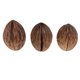 thumbnail image 2 of 3 piezas de conos de frutas secas pequeñas y naturales reales a granel para adornos de decoraciones navideñas para fiestas en casa Macarena Flores secas prensadas naturales, 2 of 7