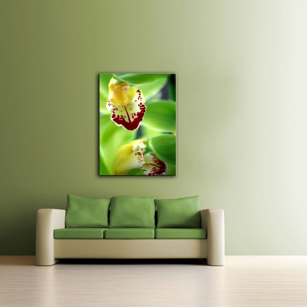Kathy Yates "Cymbidium Seafoam Emerald Orchid" Canvas Art