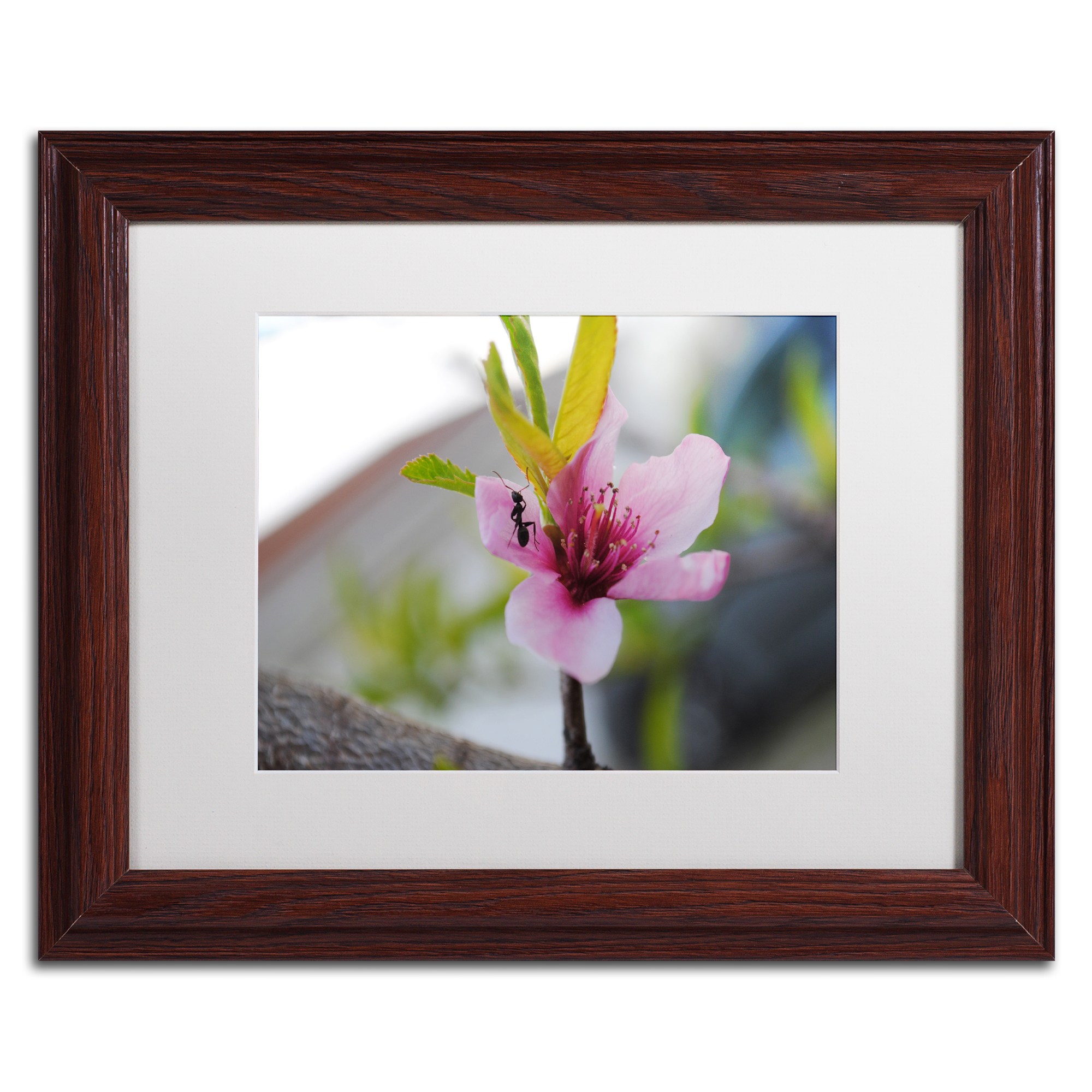 Trademark Fine Art "Expressive Individuality" Canvas Art by Monica Mize, White Matte, Wood Frame