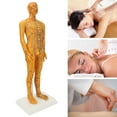 thumbnail image 1 of Modèle d'Acupuncture du Corps Humain, Modèle du Corps Acupoint PVC 53cm TCM pour les Enseignants pour la Pratique, 1 of 8