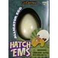 thumbnail image 1 of GeoCentral Hatch'em Alligator Egg Growing Pet, 1 of 2