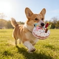 thumbnail image 6 of Dog Squeaky Plush Birthday Cake Toy, Soft Durable Chew Toy for Puppies and Small to Large Dogs, Interactive Fetch and Tug Play Gift, 6 of 6