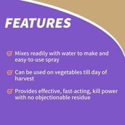 2 PACK Pyrethrin Concentrate Garden and Insect Spray, Bonide Products, 8 oz each