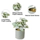 thumbnail image 3 of Simulación de plantas suculentas en macetas, estructura triangular de hierro, macetas de melamina, adornos creativos, plantas verdes artificiales, 3 of 5