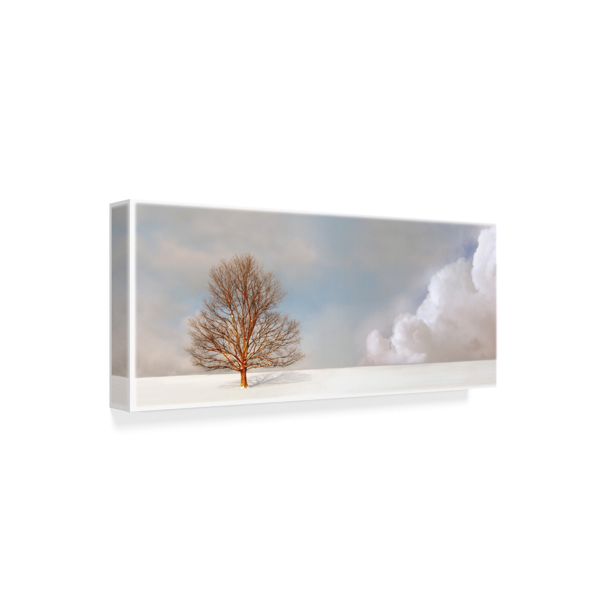 Trademark Fine Art 'Alone In The Whiteness' Canvas Art by Carlos Casamayor