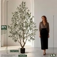 thumbnail image 5 of OLIVIVI Olive Trees Artificial Indoor, 8FT Tall Faux Olive Tree with BlackTall Planter, Artificial Plants with Natural Wood Trunk and Lifelike Fruits for Home Office Decor, 5 of 12