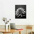 thumbnail image 2 of PIKWEEK  Canvas Print Wall Art Grayscale Black Rose Succulent Floral Plants Photography Realism Southwest for Living Room, Bedroom, Office, 2 of 4