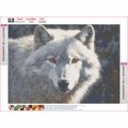 thumbnail image 5 of HsdsBebe Animals DIY Diamond Art Painting Kit, Wolf Art Craft Gem Painting Adult and Children DIY Full Round 5D Diamond Drill Kit, 5 of 5