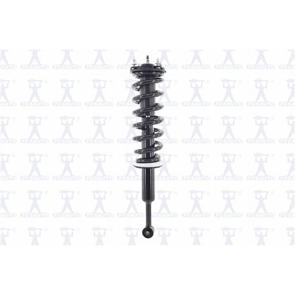 Suspension Strut and Coil Spring Assembly