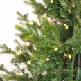 thumbnail image 5 of Vickerman G183278LEDCC 7.5 ft. x 58 in. Welch Fraser 3 mm 1150CC Christmas Tree, 5 of 10