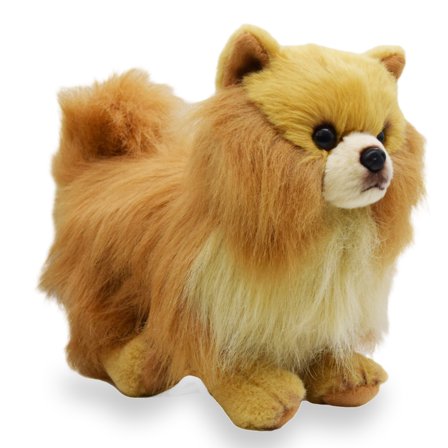 Realistic Pomeranian Dog Stuffed Animal Plush Toy, Lifelike Animal Plushies, Simulation Dog Doll