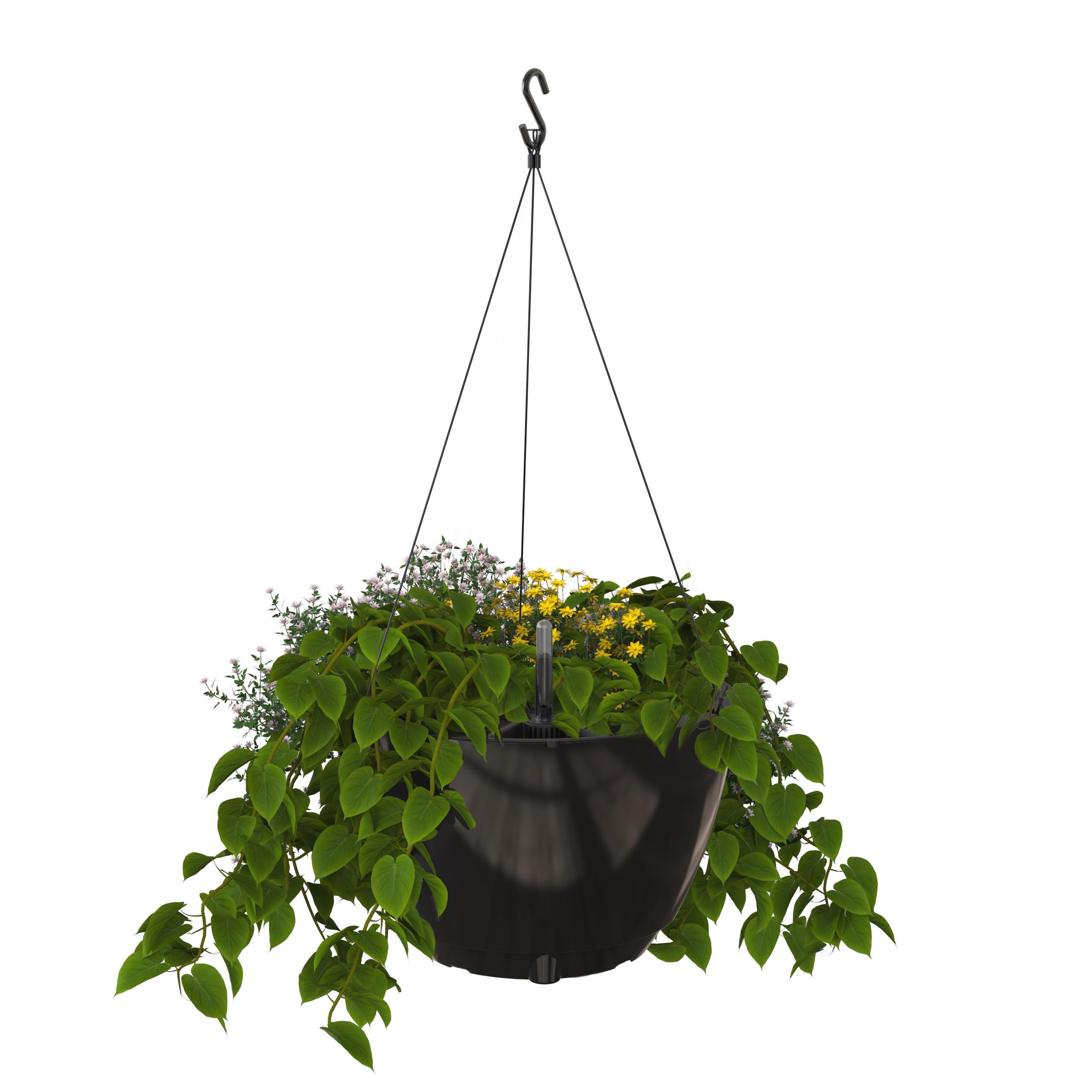 Mayne Caprio 14" x 9" Round Black Hanging Self-Watering Plastic Hanging Planter